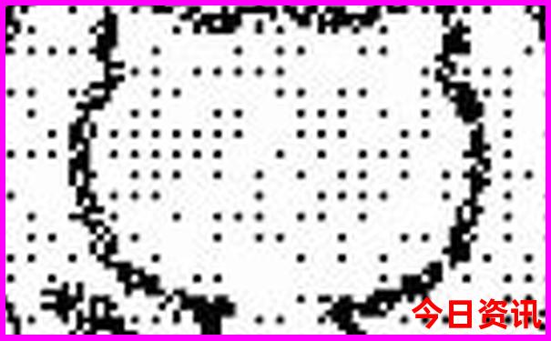 2025最新正版实时更新资料全新下载免费值得关注大全-王中王493333特马王中王